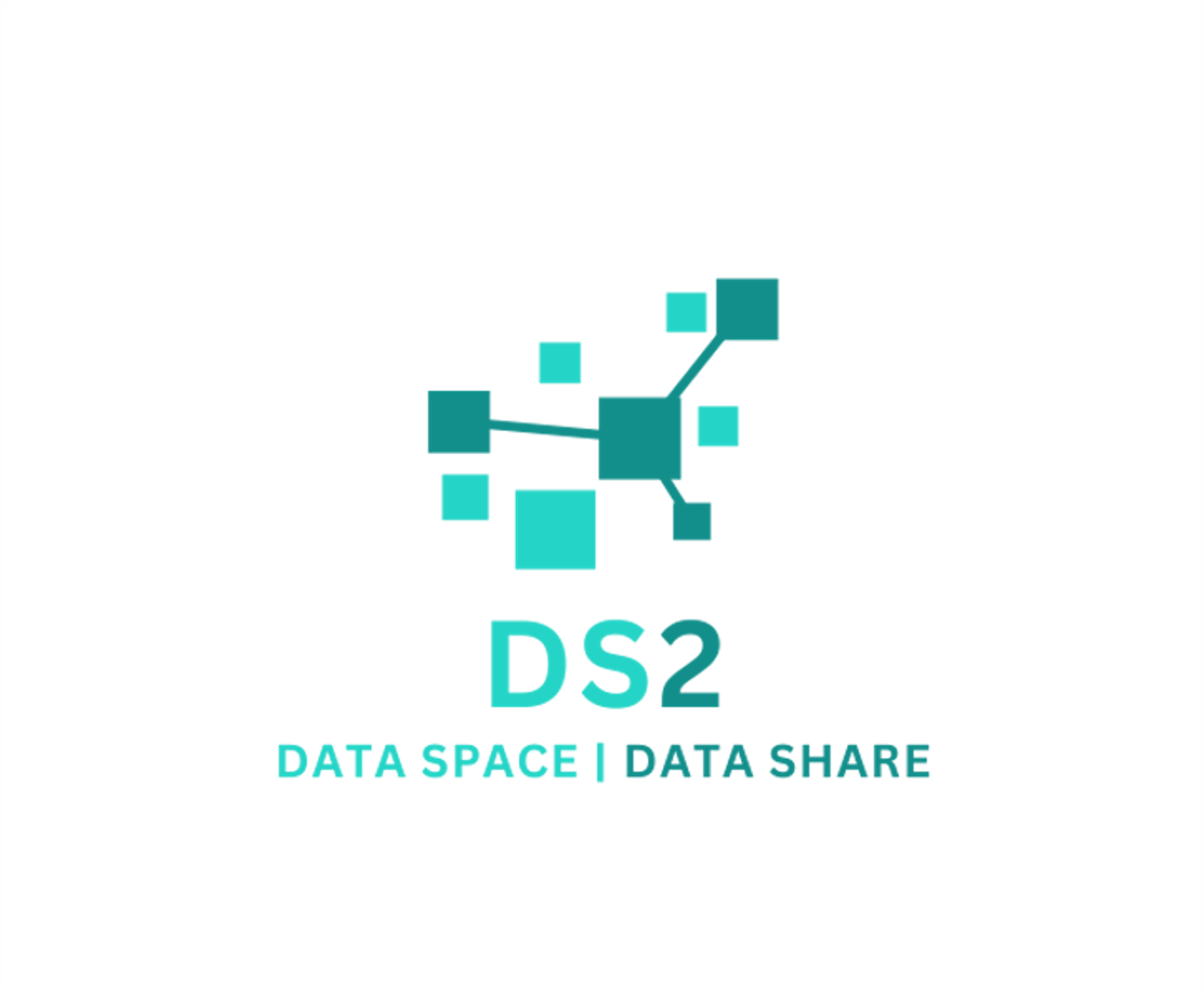 DS2 logo